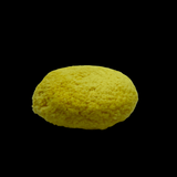 8" Wool Buffing Pads